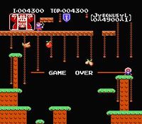 une photo d'Ã©cran de Donkey Kong Jr sur Nintendo Nes